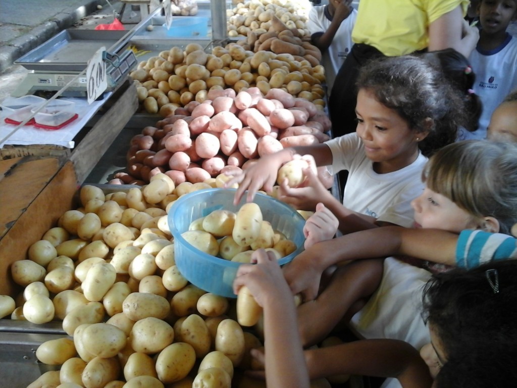 Crianças da EMEI Dona Leopoldina visitam a feira da região